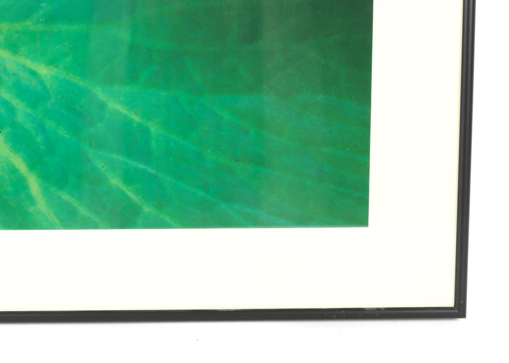 Catherine Holt Original Photograph