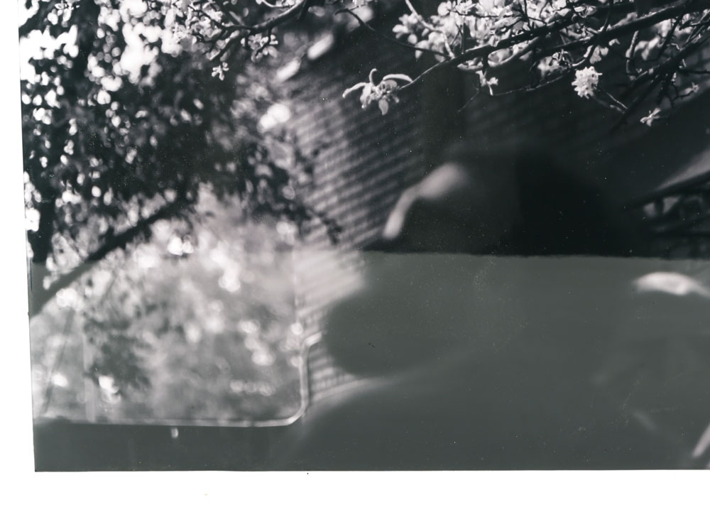 Robert Yaeger Photograph "South End Cool Spring"