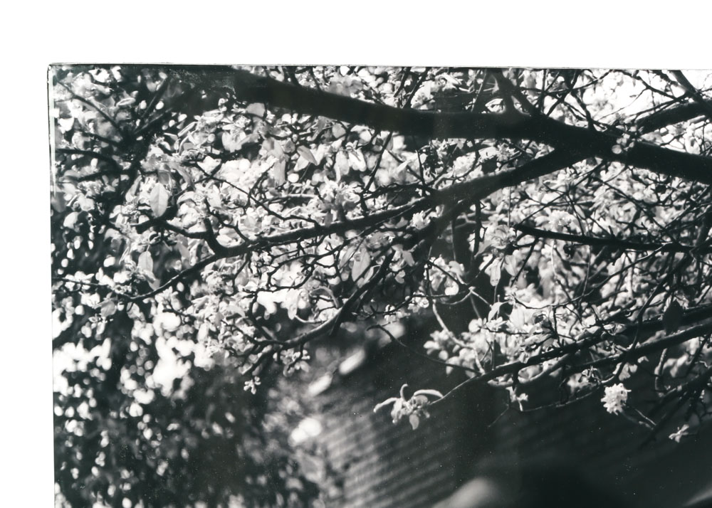 Robert Yaeger Photograph "South End Cool Spring"