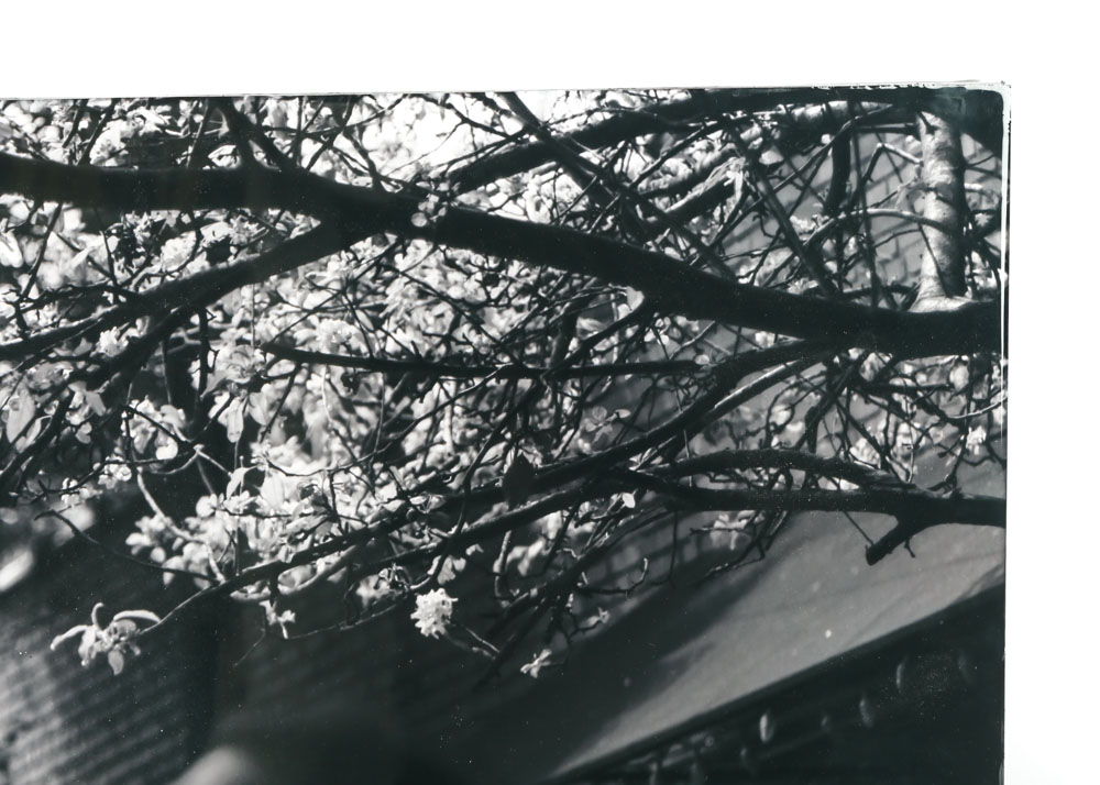 Robert Yaeger Photograph "South End Cool Spring"