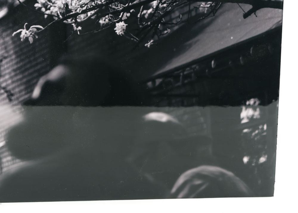 Robert Yaeger Photograph "South End Cool Spring"