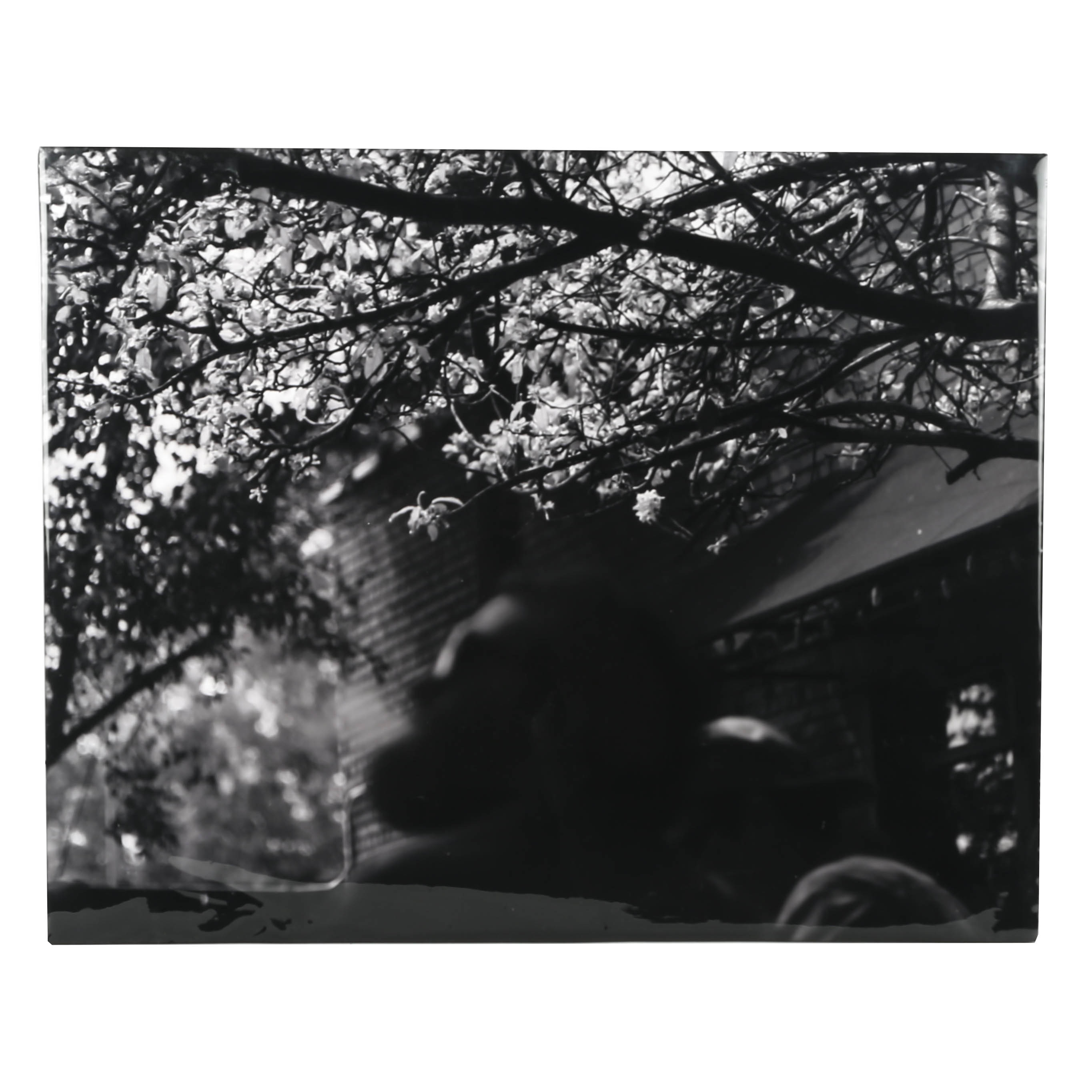 Robert Yaeger Photograph "South End Cool Spring"