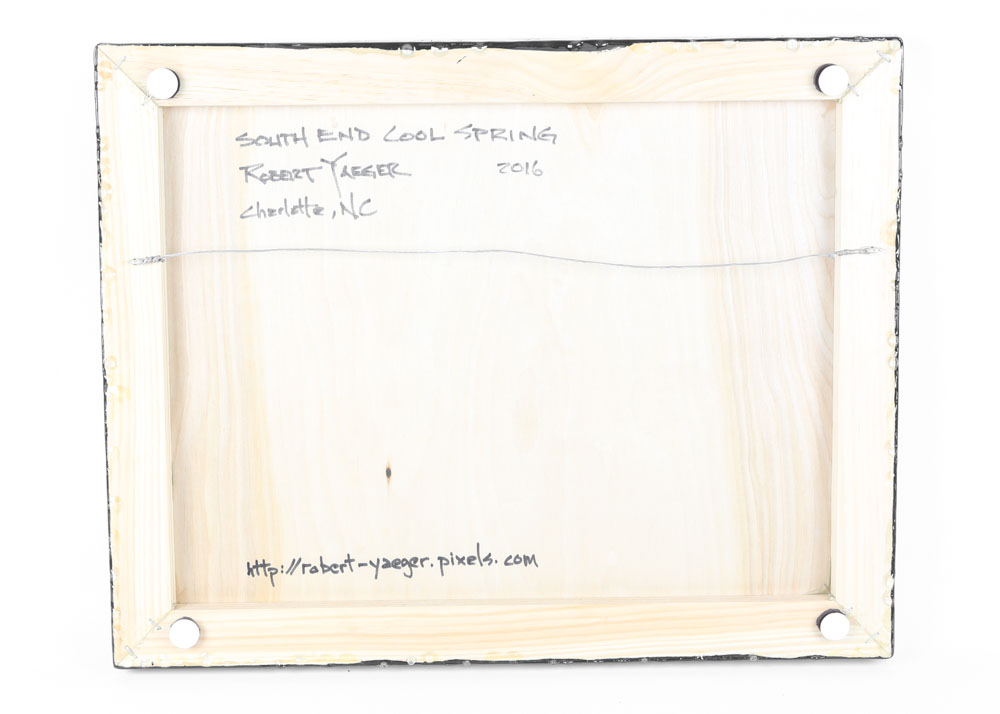 Robert Yaeger Photograph "South End Cool Spring"