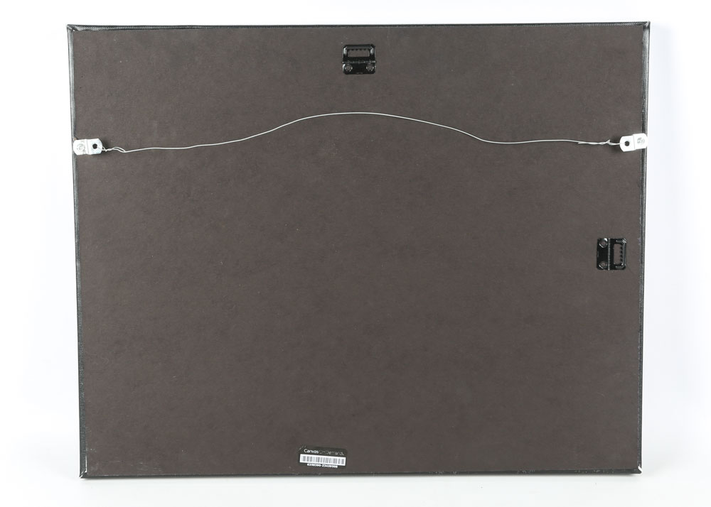 Charles Fort Shedd Photograph on Canvas "Mountain Lake Dawn"