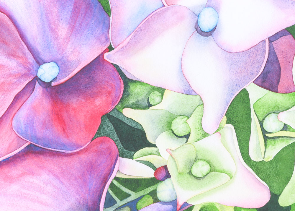 Susan Lackey Limited Edition Reproduction Print