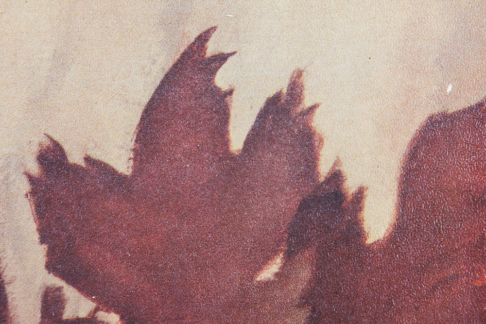 Framed Vintage Offset Lithograph Print on Board