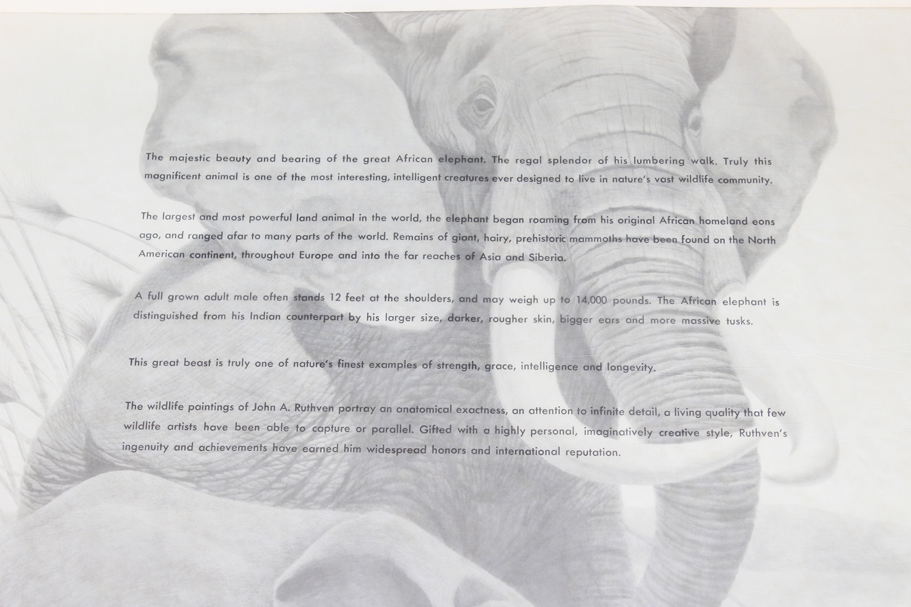 John Ruthven Limited Edition Offset Lithograph "African Elephants"