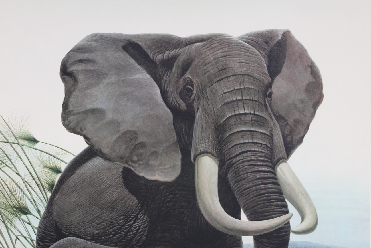 John Ruthven Limited Edition Offset Lithograph "African Elephants"