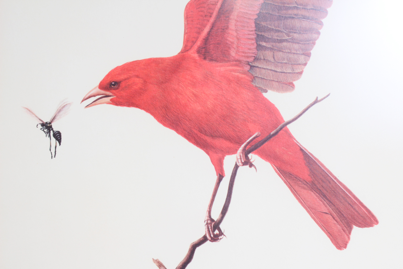 Pair of Signed Ray Harm Offset Lithographs