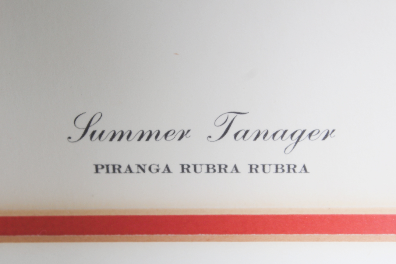 Pair of Signed Ray Harm Offset Lithographs