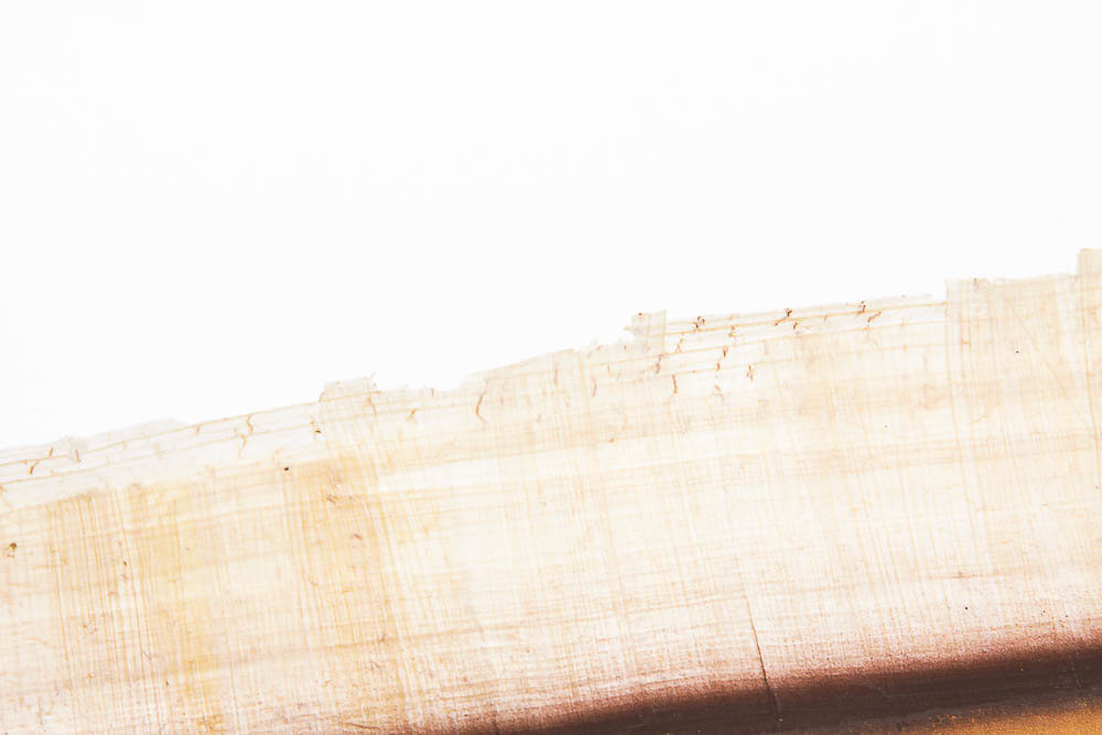 Egyptian Painting on Papyrus