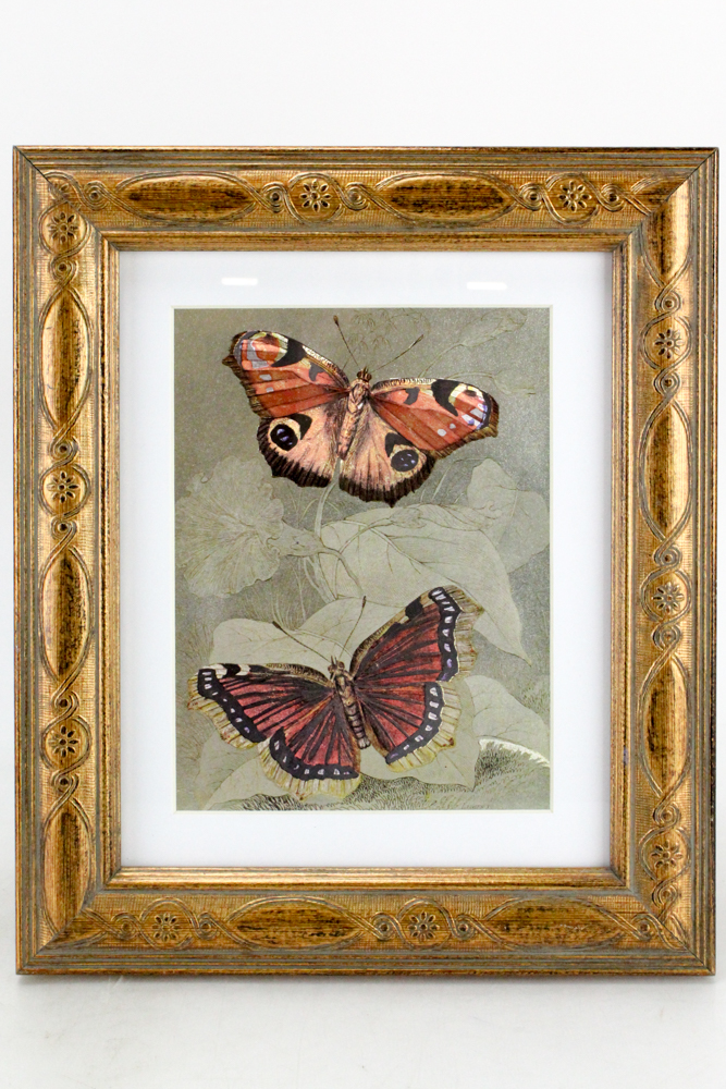 Dufex Reproduction Print on Embossed Foil "Butterfly"