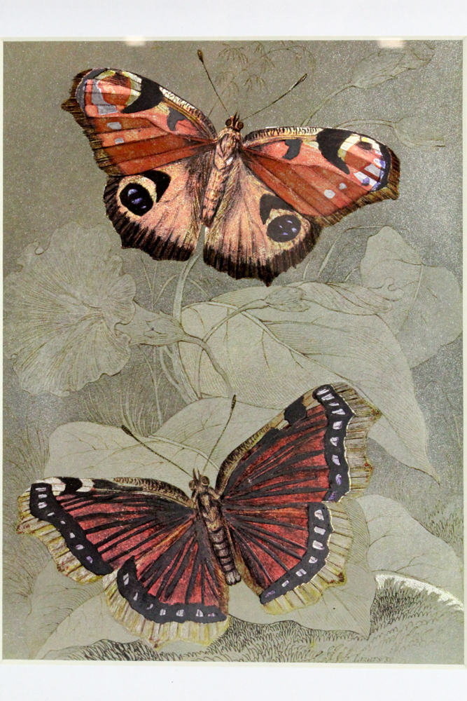 Dufex Reproduction Print on Embossed Foil "Butterfly"