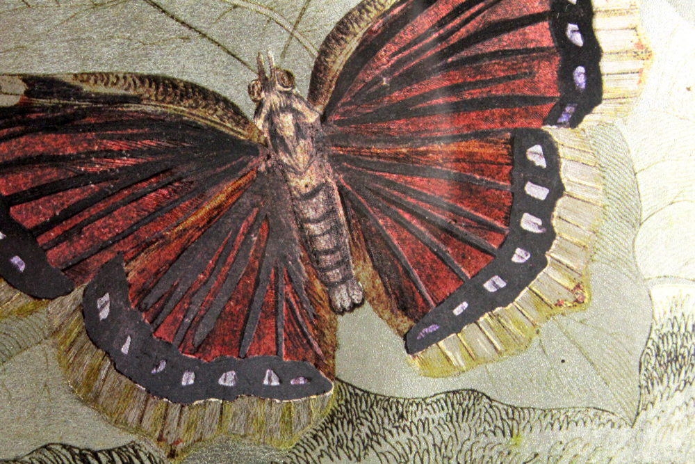 Dufex Reproduction Print on Embossed Foil "Butterfly"