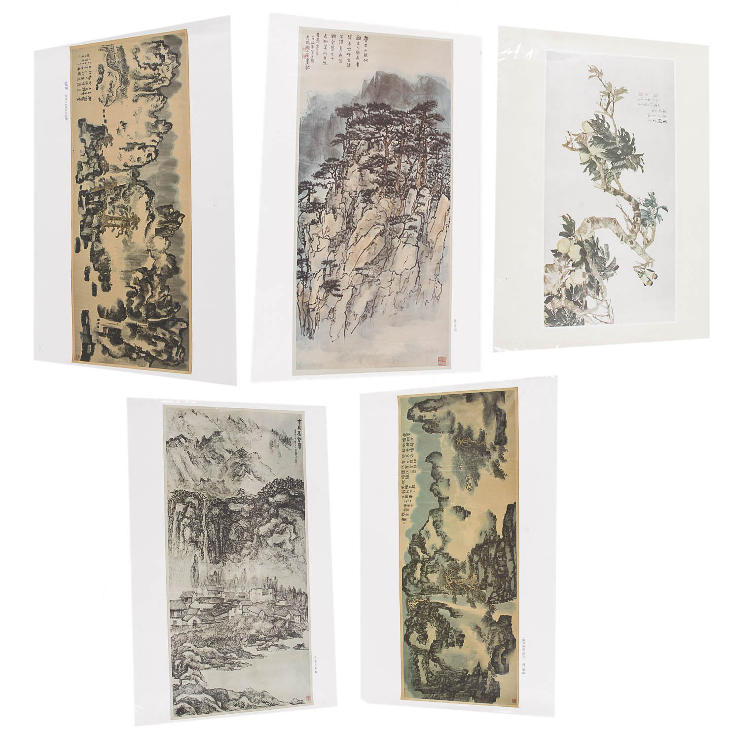 Variety of Asian Prints