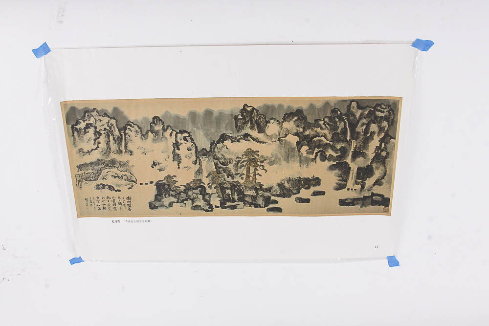 Variety of Asian Prints