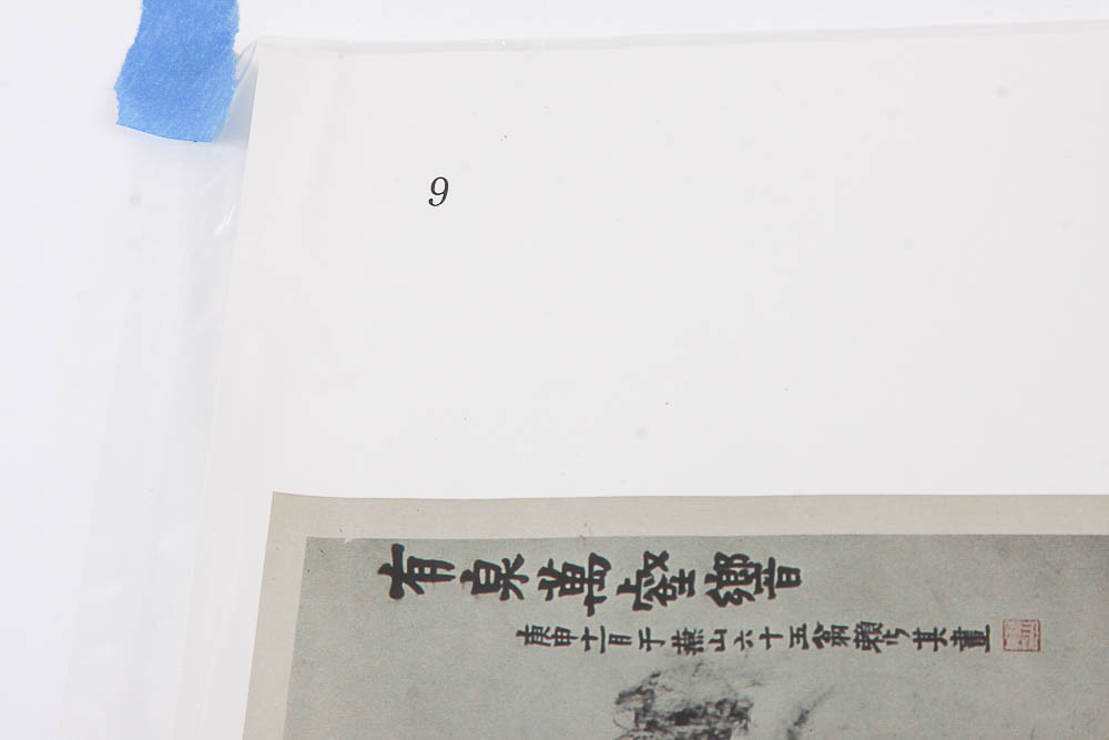 Variety of Asian Prints