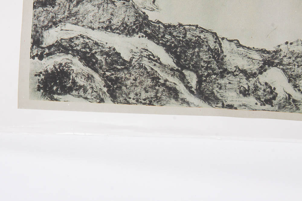 Variety of Asian Prints