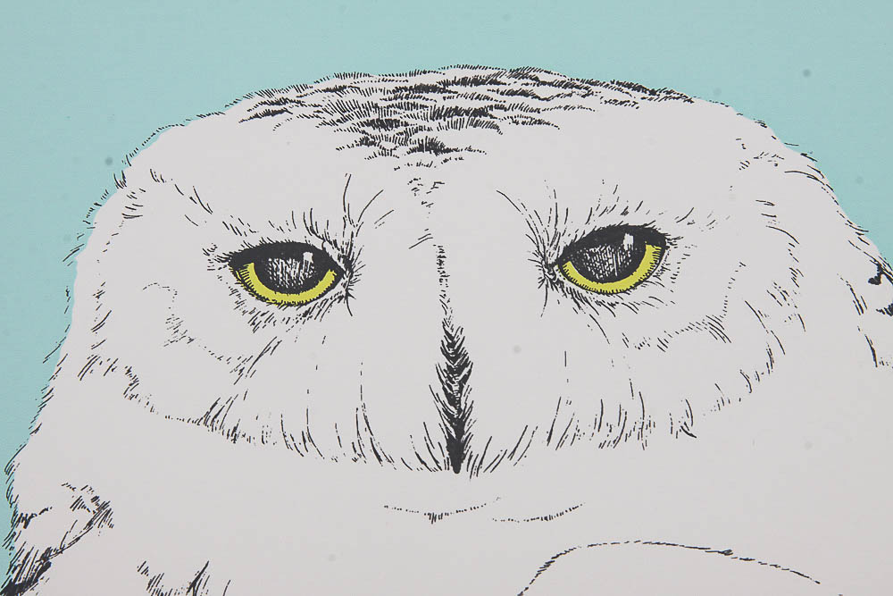 Signed Limited Edition Serigraph "Snowy Owl" by Peter Parnell