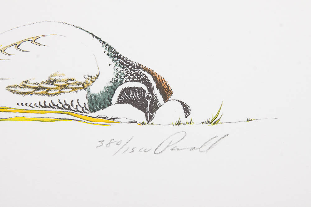 Signed Limited Edition Serigraph "California Quail" by Peter Parnell