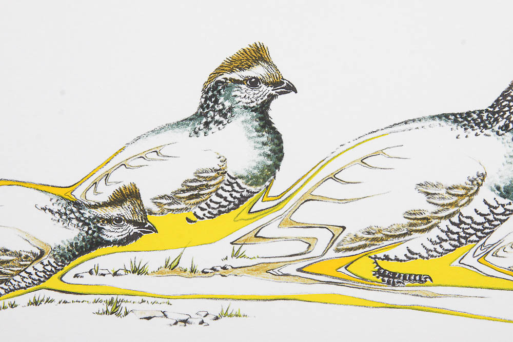 Signed Limited Edition Serigraph "California Quail" by Peter Parnell