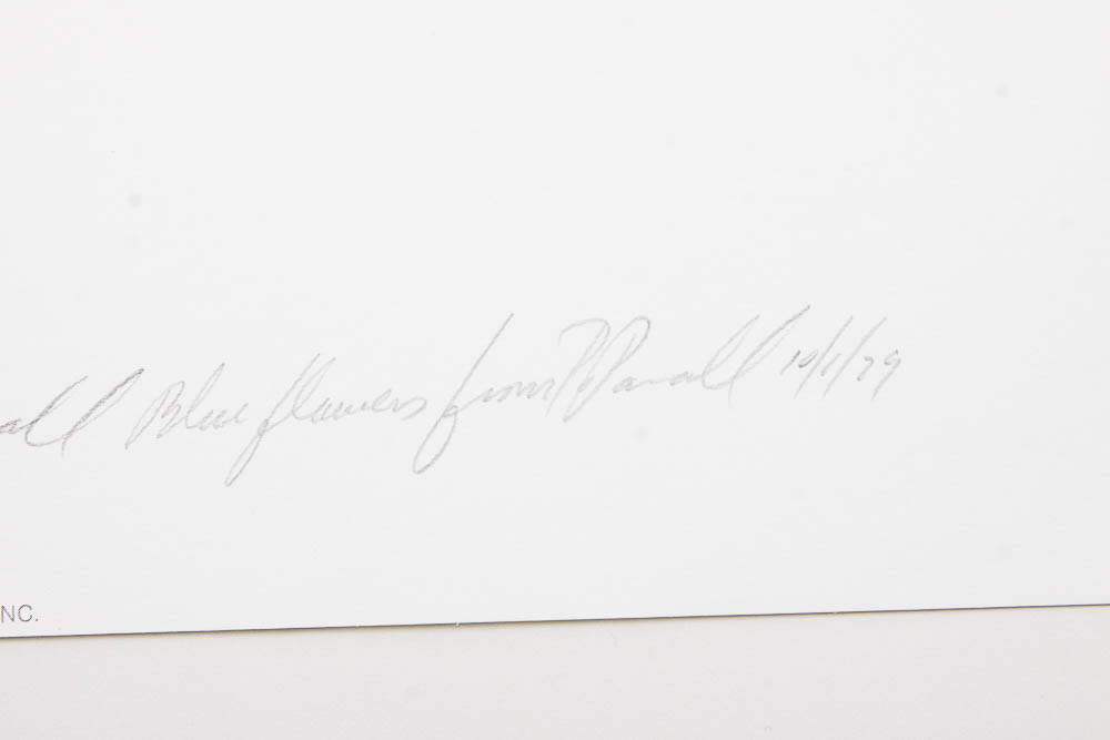 Signed Limited Edition Serigraph by Peter Parnall "Bison"