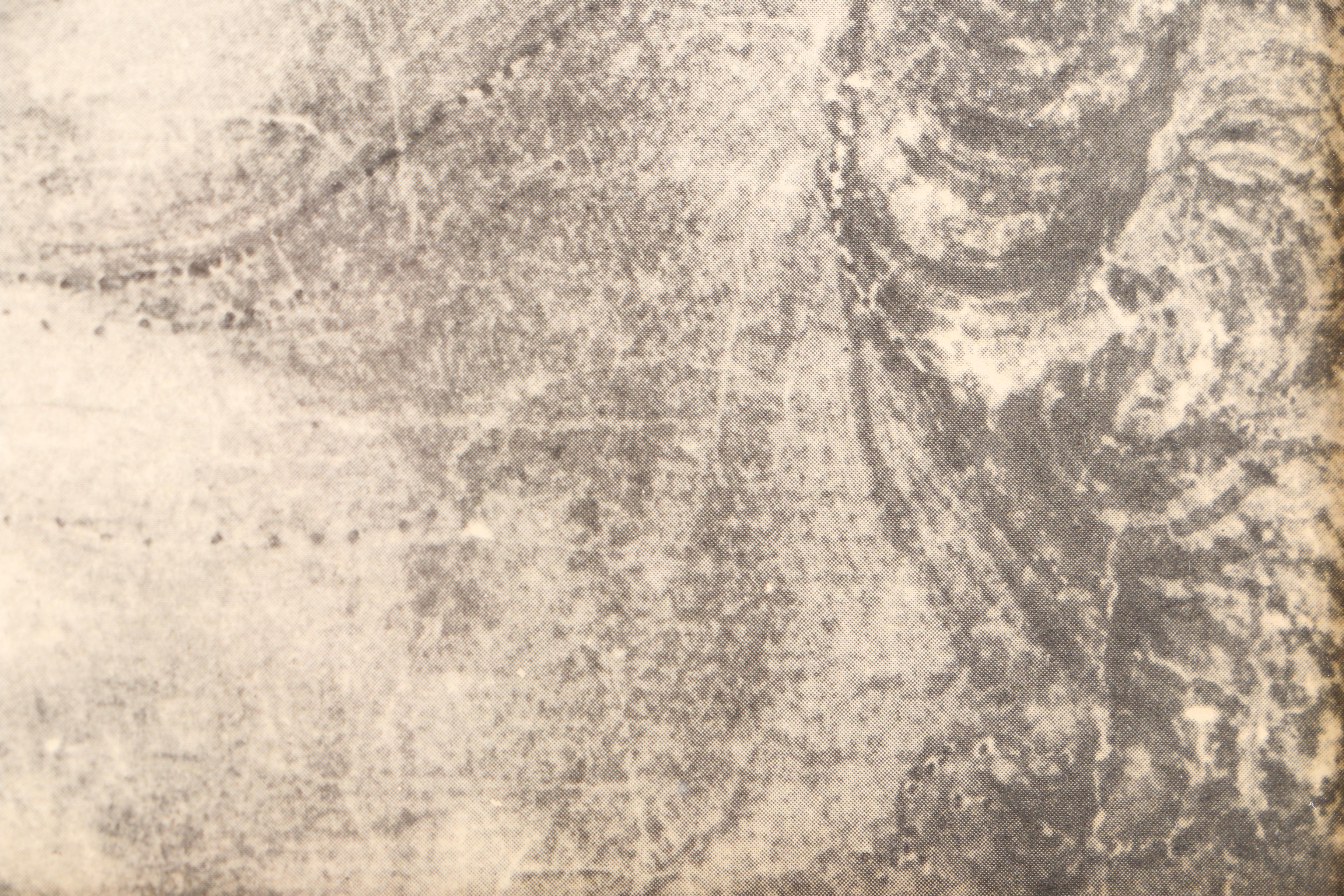 Halftone Print on Paper After Andrea del Verrocchio "Head of a Woman"