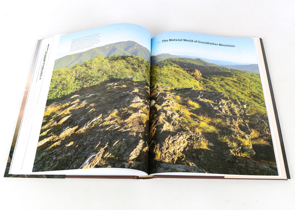 Signed Copy of Randy Johnson's "Grandfather Mountain"