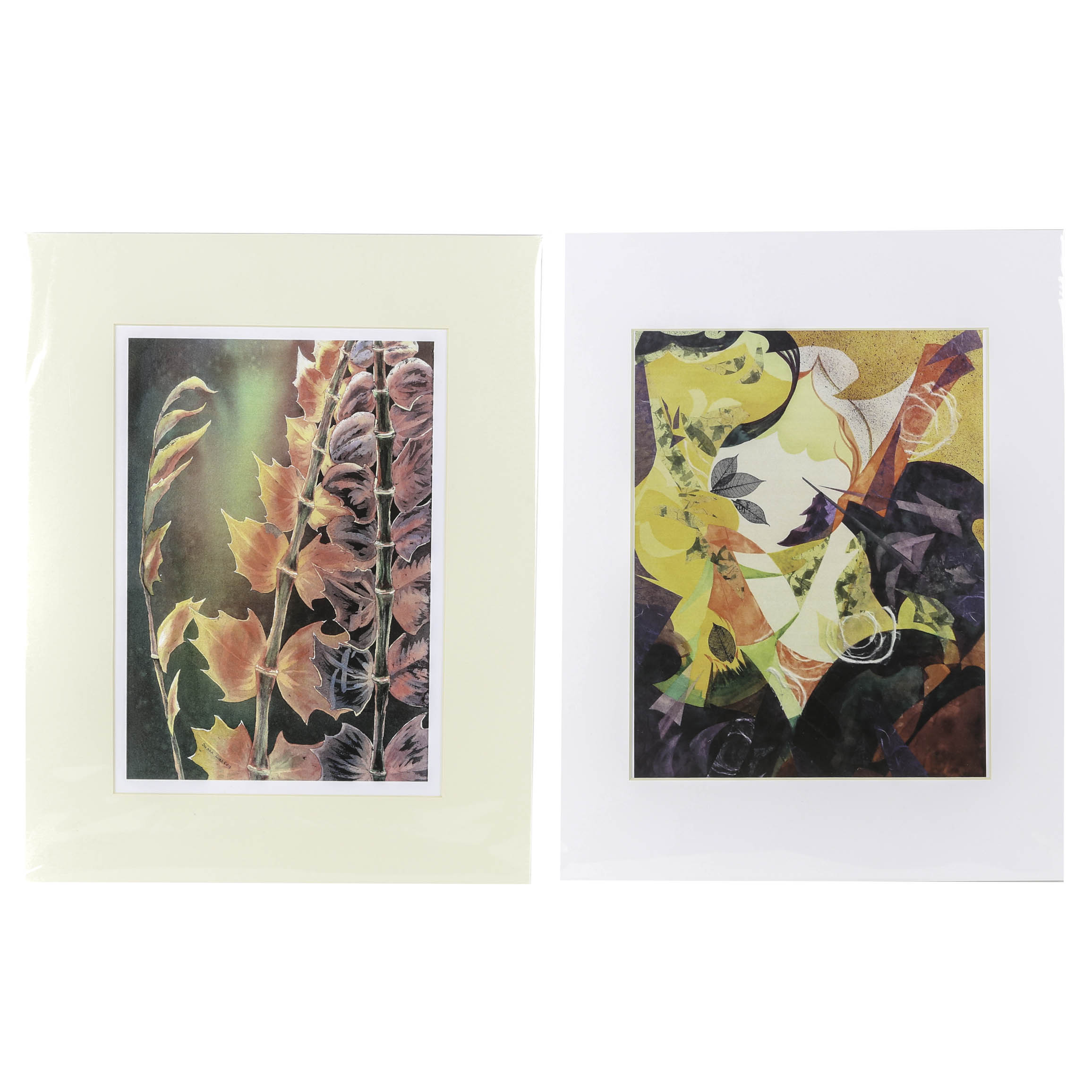 Susan Lackey Offset Lithographs