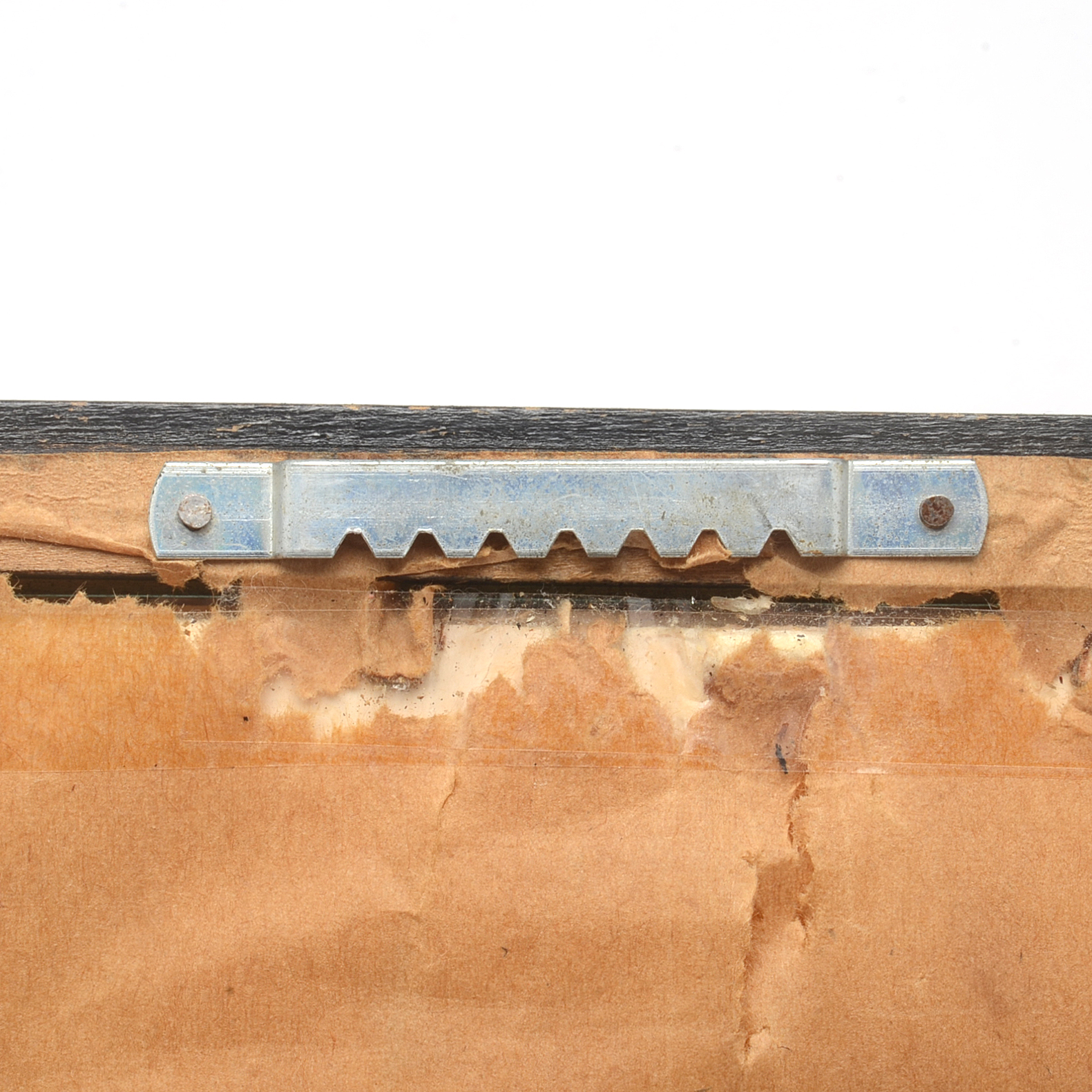 Greg Cook Bengal Print