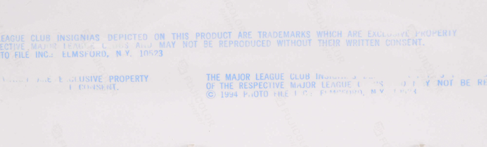 Hall Of Fame Catcher Yogi Berra Signed New York Yankees Photo