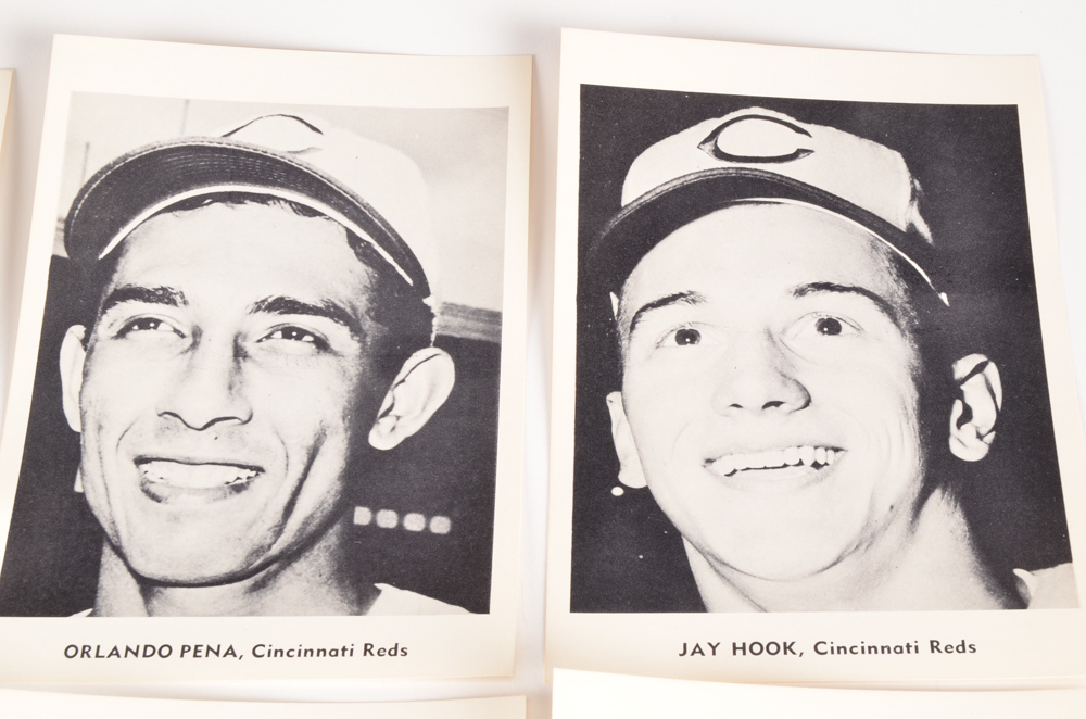Twelve 1960 Cincinnati Reds Players Photo Prints