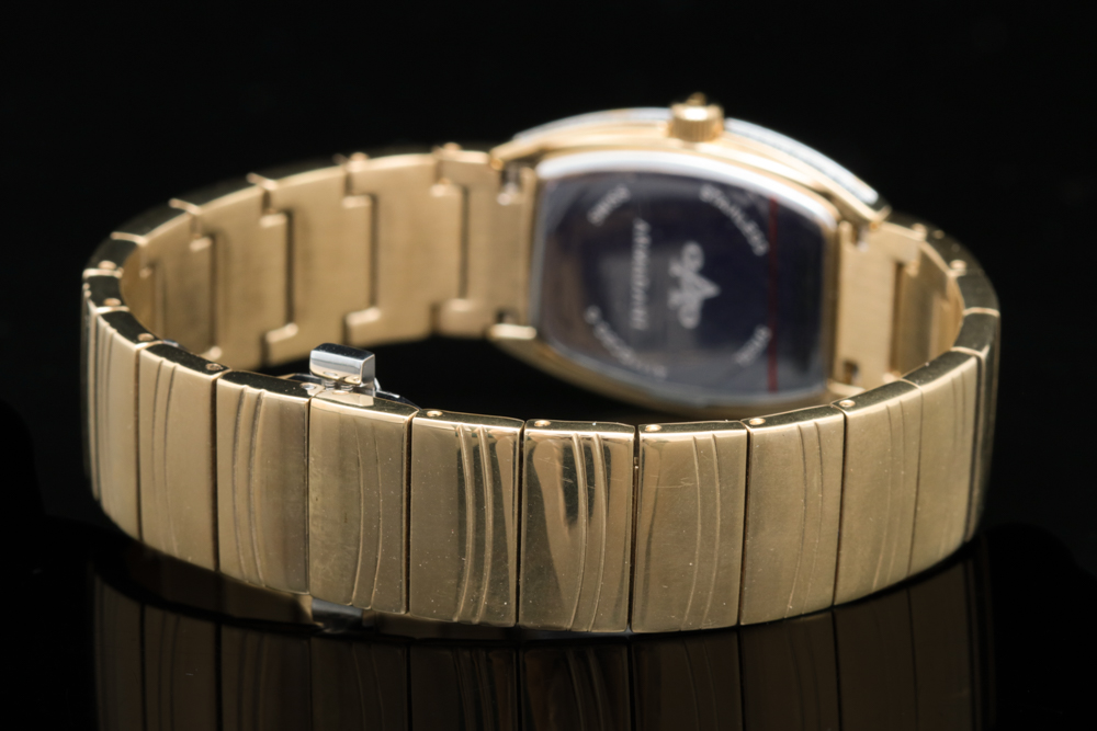 1.31 CTW Diamond and Gold Tone Stainless Steel Armandani Watch