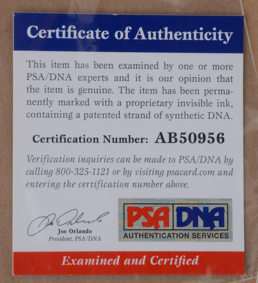 Pete Rose Signed 4192 Picture  COA