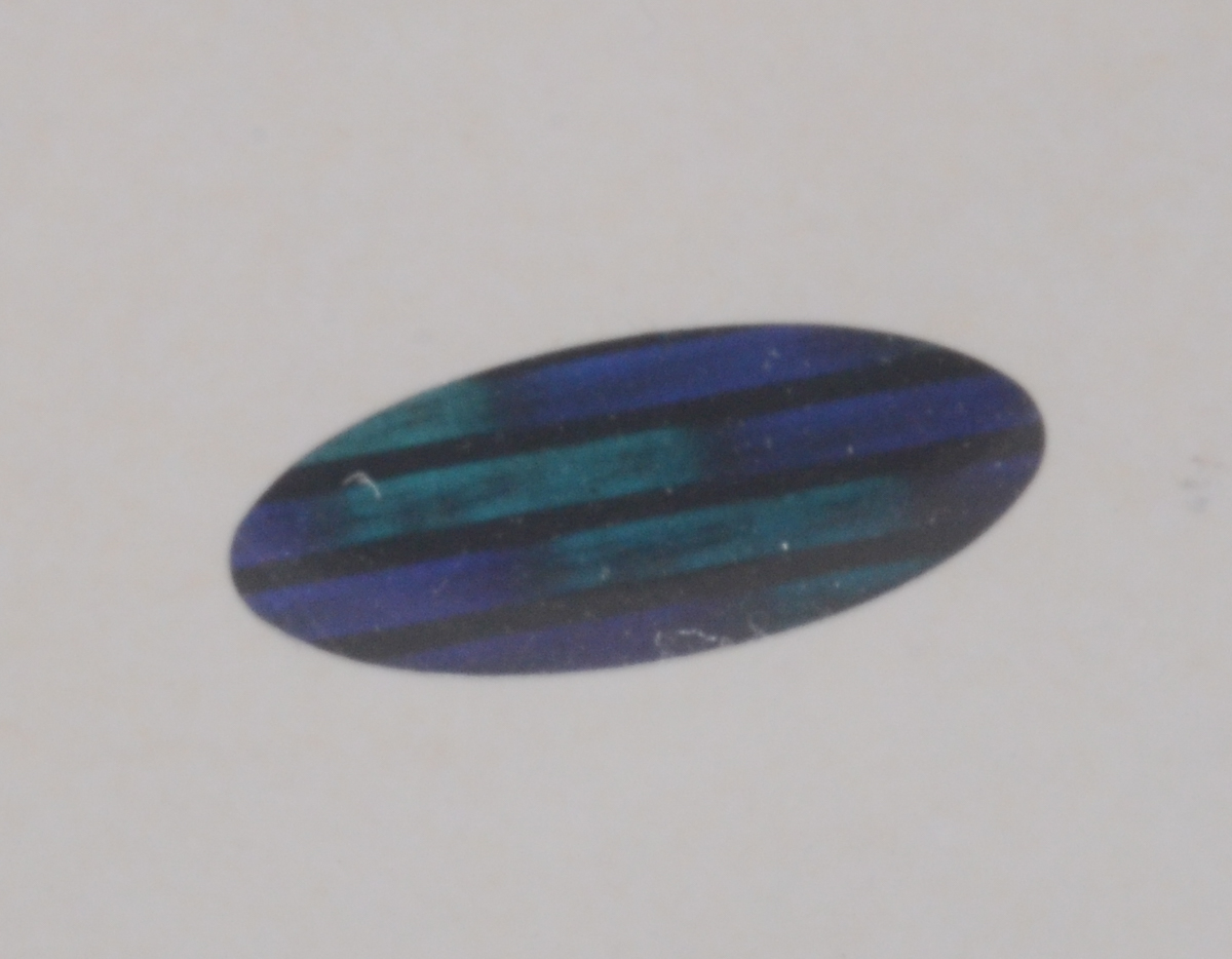 Rose and Harrelson Signed Display COA