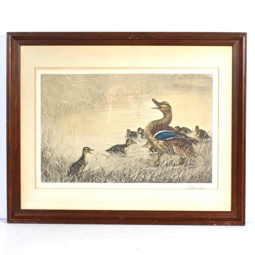 Leon Danchin Chromolithograph of Duck and Ducklings