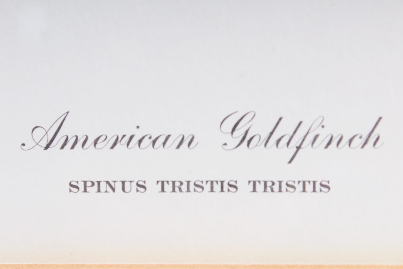 Pair of Signed Ray Harms Offset Lithograph Prints