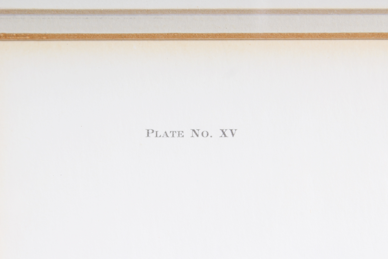 Pair of Signed Ray Harms Offset Lithograph Prints