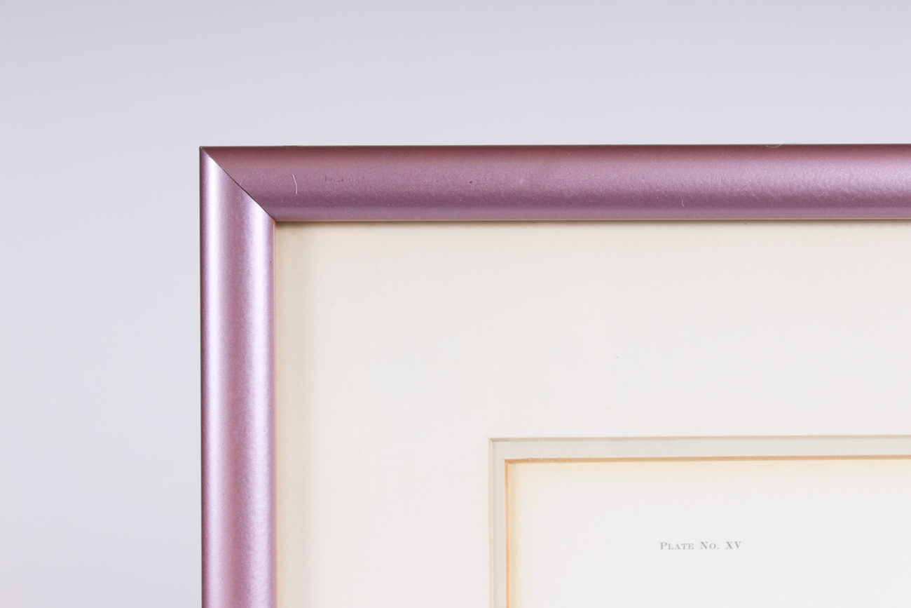 Pair of Signed Ray Harms Offset Lithograph Prints