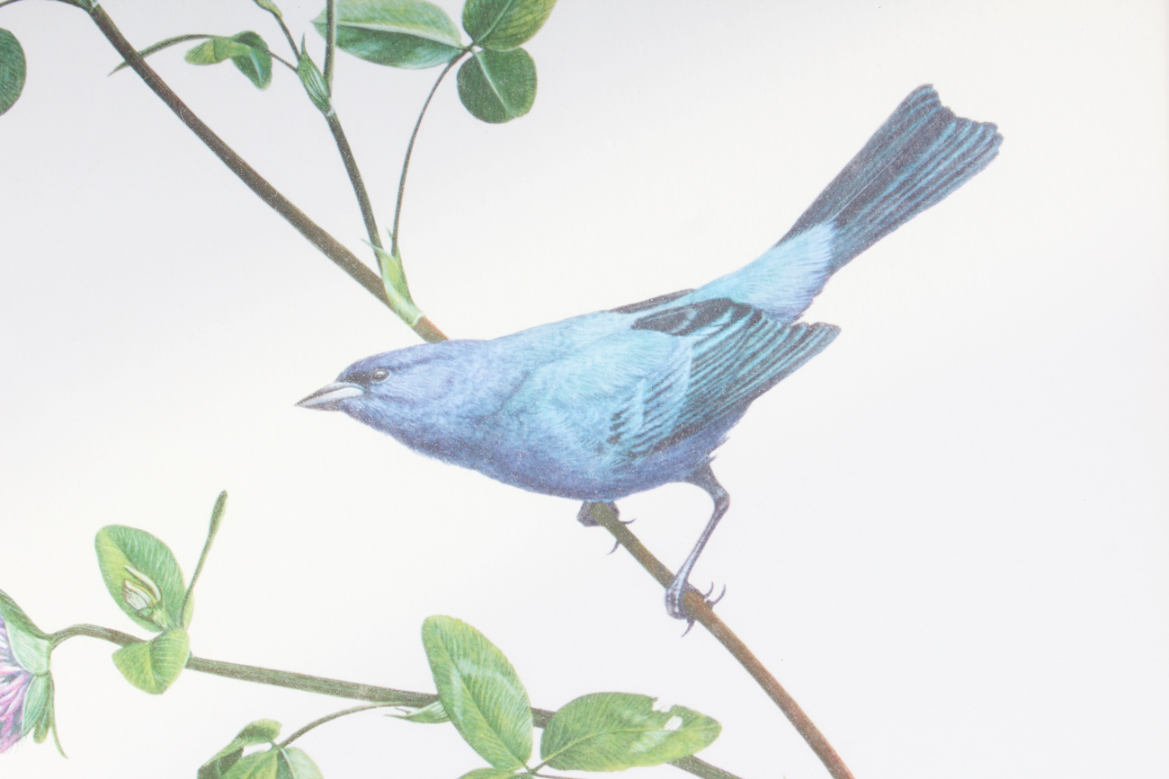 Pair of Signed Ray Harms Offset Lithograph Prints