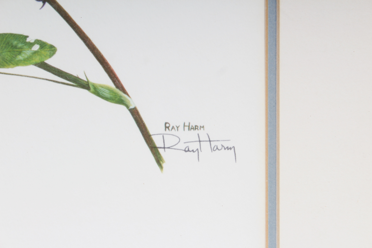 Pair of Signed Ray Harms Offset Lithograph Prints