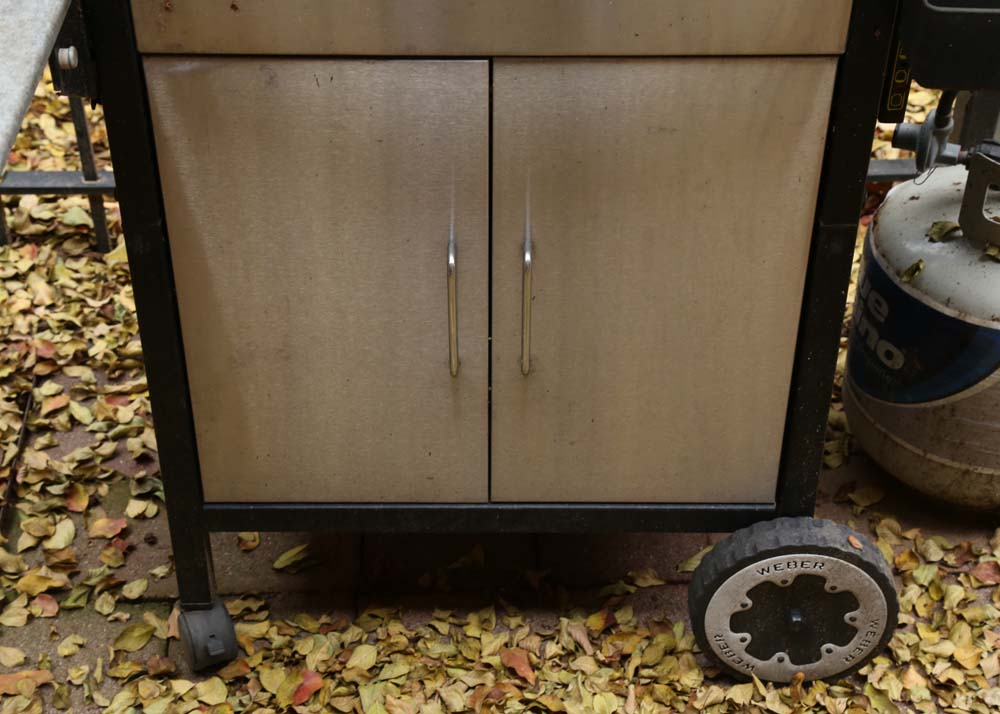 Weber Genesis Silver Grill