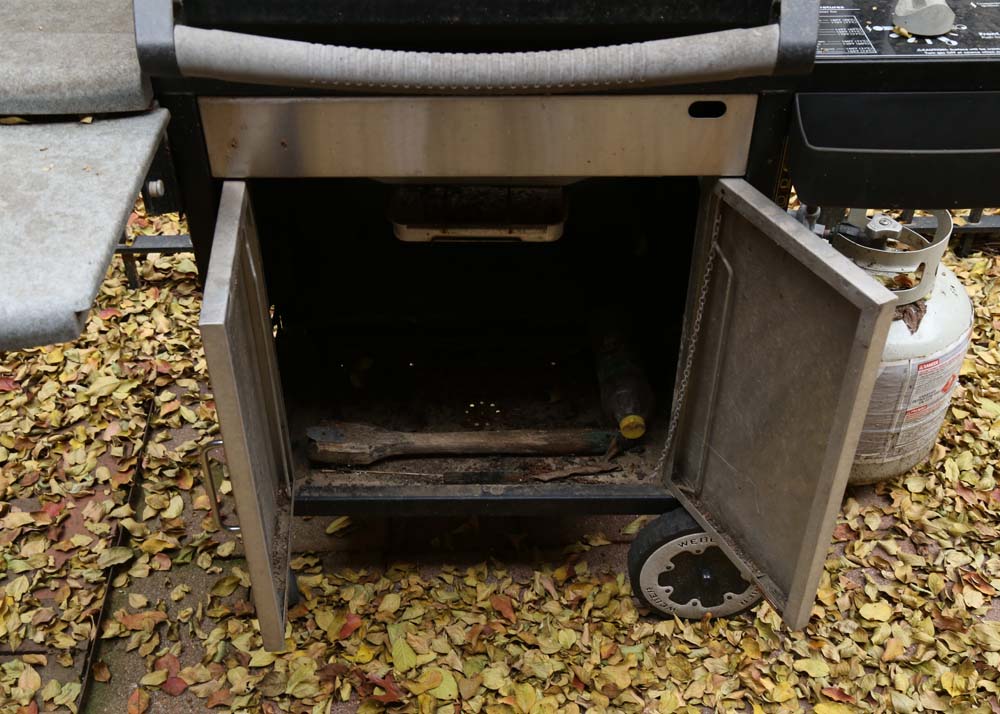 Weber Genesis Silver Grill