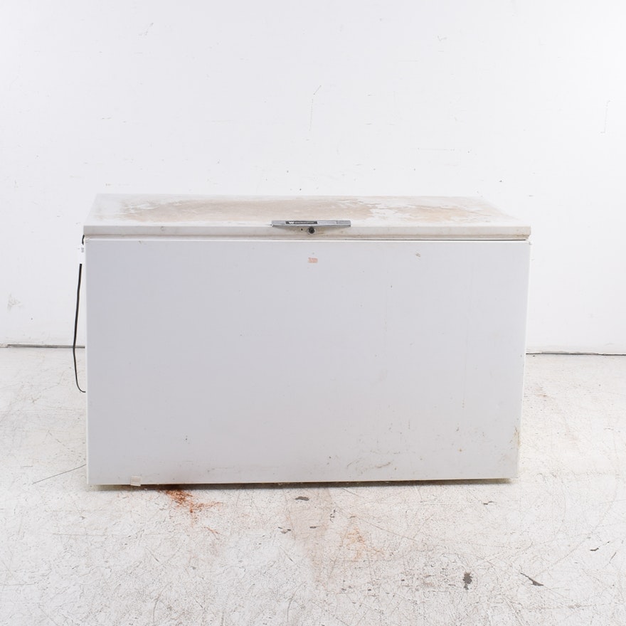 Vintage White-Westinghouse Deluxe Freezer