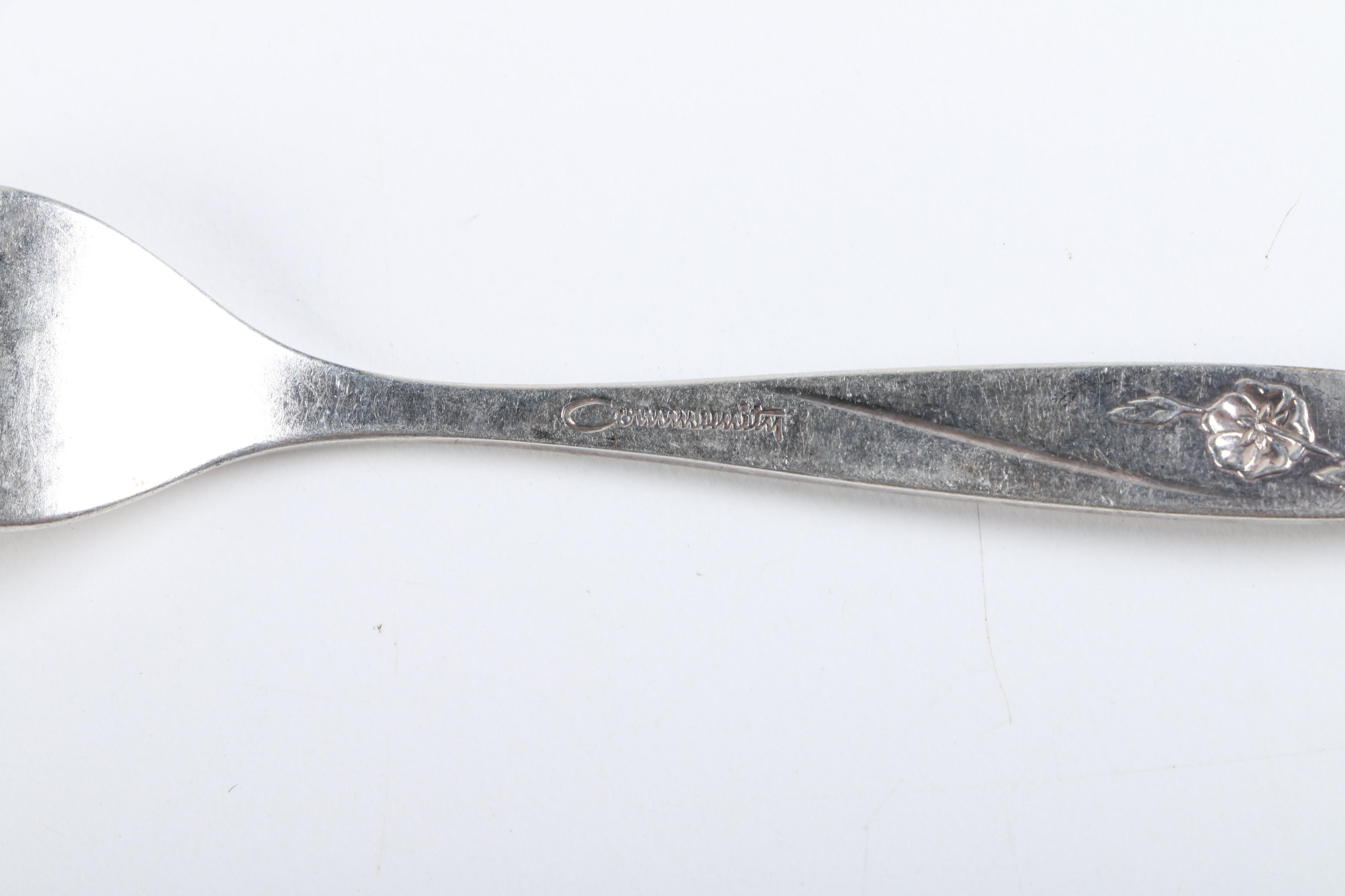 Wm Rogers "Precious Mirror" Silver Plate Serving Spoon and Assorted Flatware