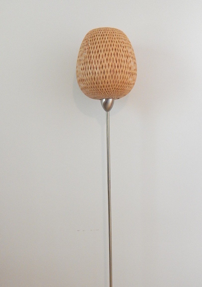 Contemporary IKEA Floor Lamp