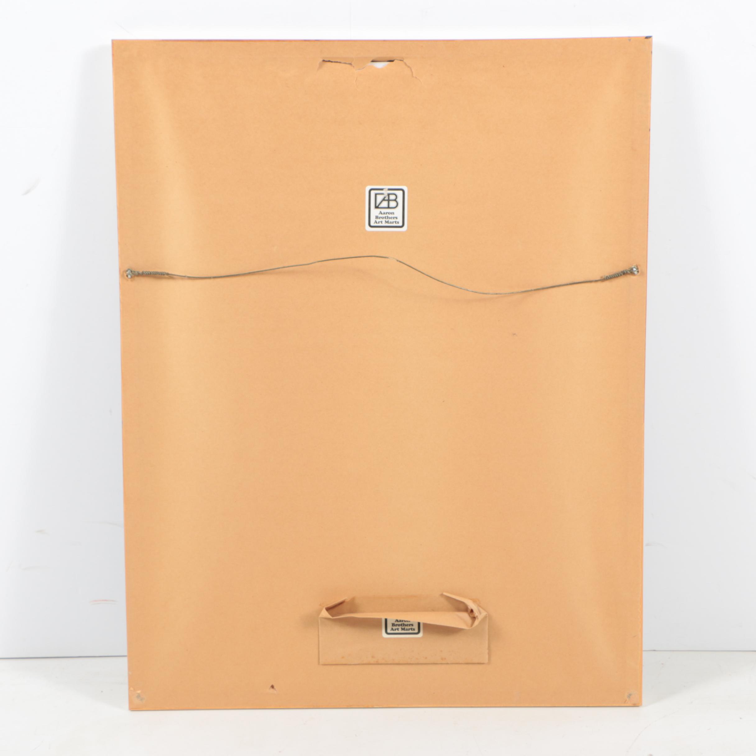 Vintage Air Catalina Seaplane Poster