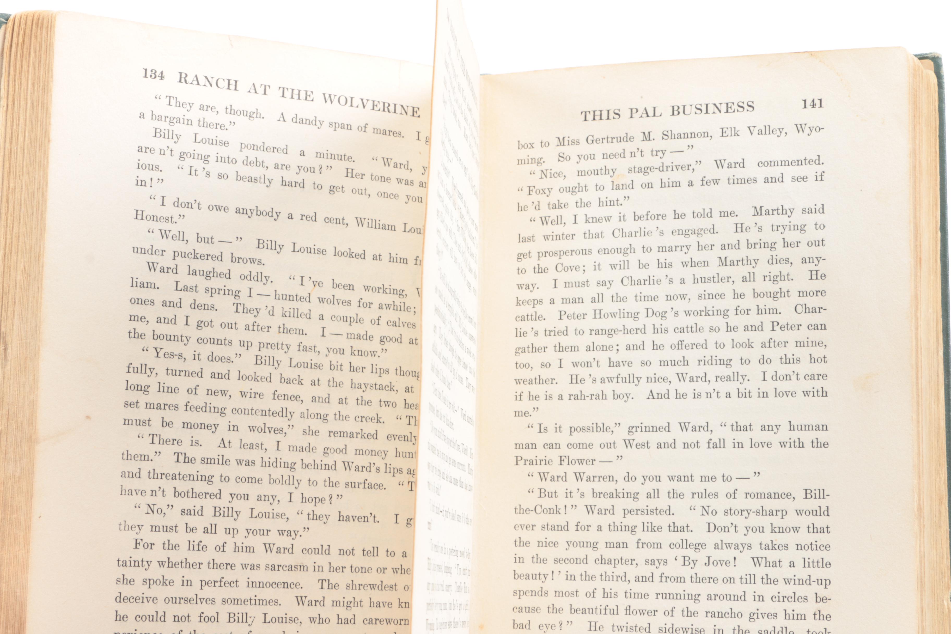 Antique Western Novels and Vintage Spanish-English Dictionary