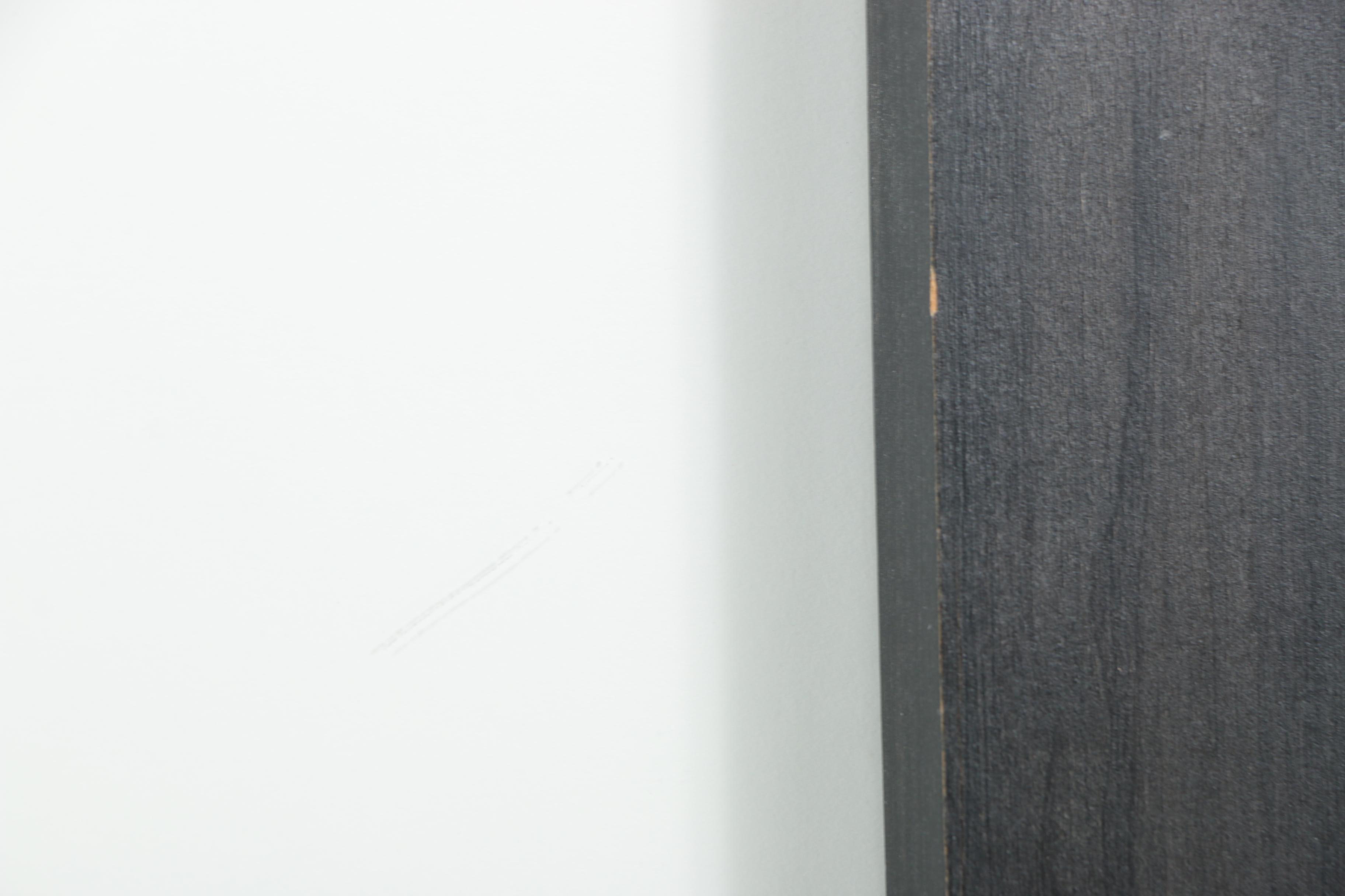 Gelatin-Silver Photograph Male Torso with Tazmanian Devil Tattoo