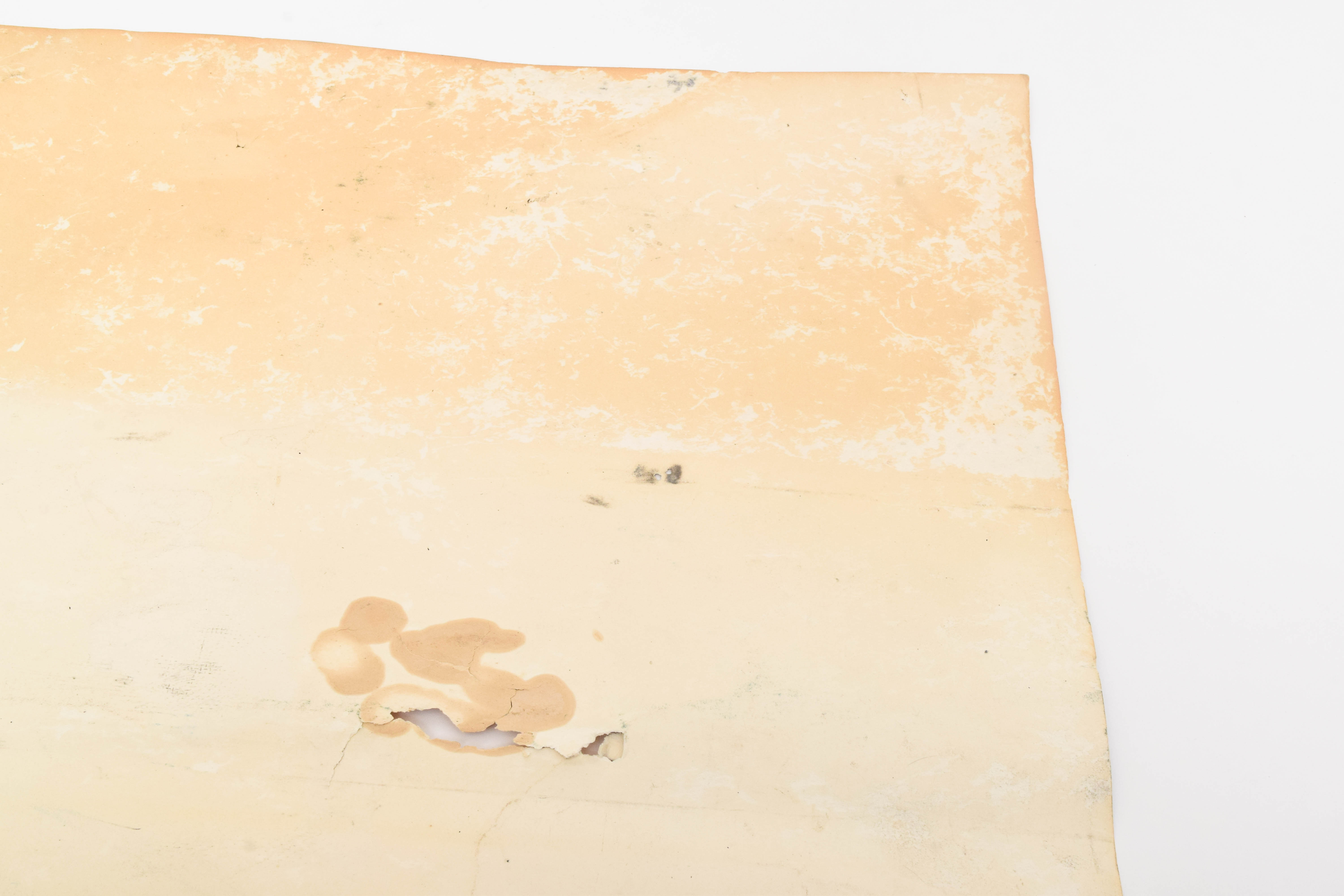 1995 Jimmy Page & Robert Plant Tour Poster